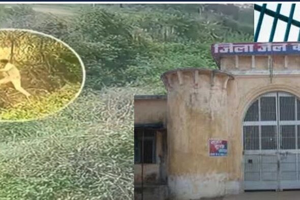 कोरबा