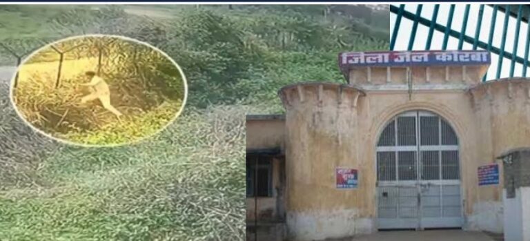 कोरबा