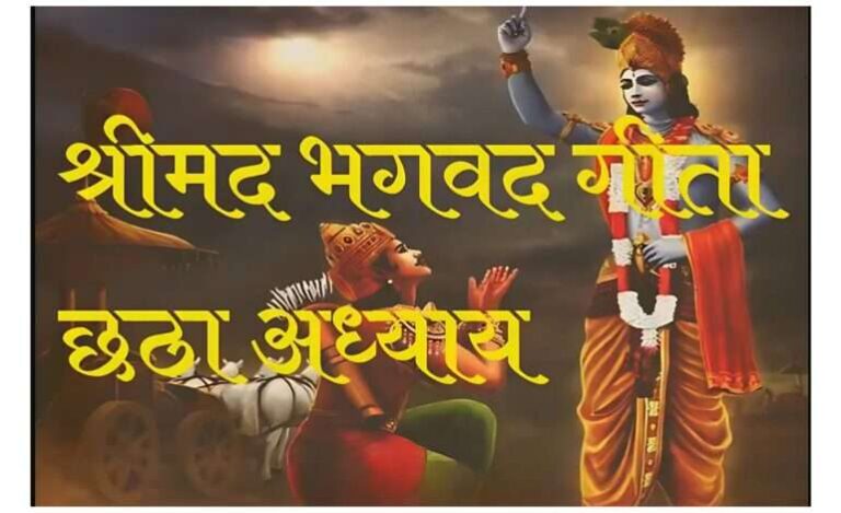 Copy-of-Copy-of-Untitled-Design-1-770x470